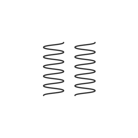 Rear Springs