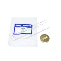 Drain Plug - Salmsbury Diff