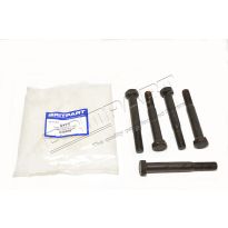 Early Shackle Pin