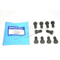 Flywheel Bolt