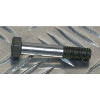 Special Bolt
