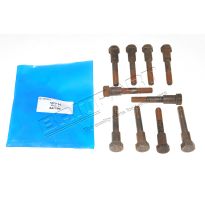 Bolt - Tensioner