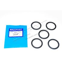 O Ring - Sedimentor Bowl - Fuel Pump | Series