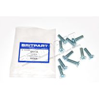 Front Door Hinge Screw - Range Rover Classic, 1986-1994