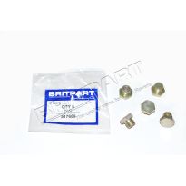 Blanking Plug - Fuel Filter - Diesel, EFI V8 | Defender, Discovery 1