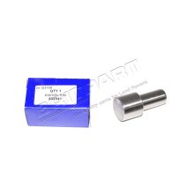 Swivel Pin