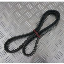 Alternator Belt (Ffr)