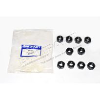 Wheel Nut - 11/16 X 59/64 AF - Single Taper | Series 2 - Series 2A