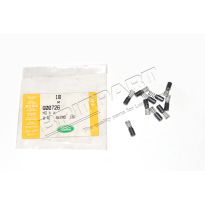 Kit - Brush