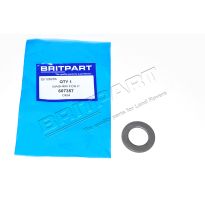 Thrust Washer - Rear Axle Case Assembly, Salisbury Axle | Defender 1987-2006