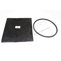 Fan Belt