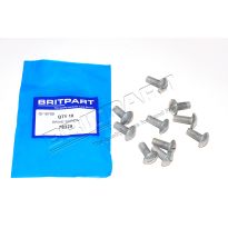 Screw - 5/16 UNF - Rear Body - Front Wing | Series