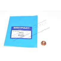 Hex Nut - M47 2.0L I4 16V Diesel | Freelander 1996-2006