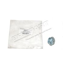 Filler Plug