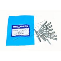 Monobolt - 1/4 Inch Thread - Grille & Mudflap | Defender, Discovery 1 & 2