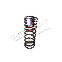 Rear Coil Spring - Rear Suspension 1989-1998 | Discovery 1