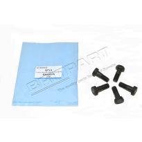5/16 X 1 Inch Bsf Set Screw