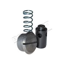 Pressure Relief Valve - Oil Pump - 300Tdi | Def - Ds1 - RR Classic