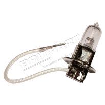 Bulb - Replacement - 100 Watt | All Models
