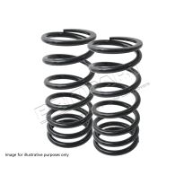 Replacement Springs - Air Spring Conversion Kit | RR P38 1995-2002