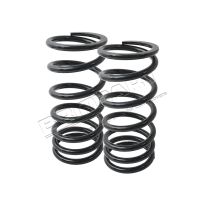 Replacement Springs - Rear - Air Spring Conversion Kit | RR P38 95-02