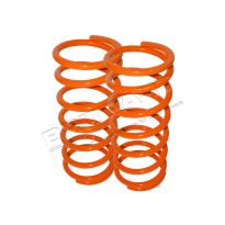 Lowering Springs - Britpart Performance - Front | Def - Ds1 - RRC