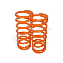 Lowering Springs - Britpart Performance - Rear | Def - Ds1 - RRC