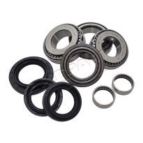 Overhaul Kit - Rear Differential - Non Locking | Ds3 - Ds4 - RR Sport
