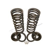 Air Spring Conversion Kit - Standard - Rear | Discovery 2