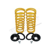 Air Spring Conversion Kit - 2 Inch Lift - Rear | Discovery 2