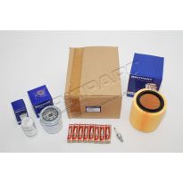Service Kit - Britpart - 3.5 Efi | Discovery 1