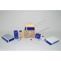 Service Kit - Britpart - 3.6 diesel | Range Rover Sport