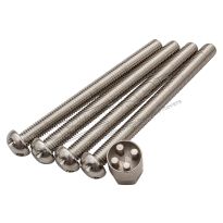 Bolt Set - Tamper Proof - M10 x 110 Bolt & Key