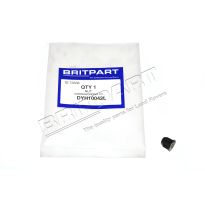 Hex Nut - Rubbing Strip - Range Rover P38 1994-2001