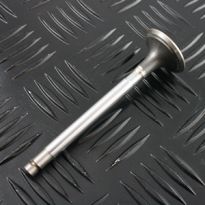 Valve Exhaust 2.25L Petrol