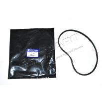 Drive Belt