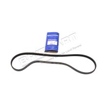Polyvee Alternator Belt - 2.5L Turbo Diesel VM | Range Rover Classic