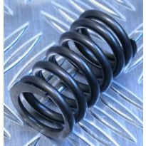 Valve Spring - V8 Engines | Defender, Discovery, Range Rover Classic
