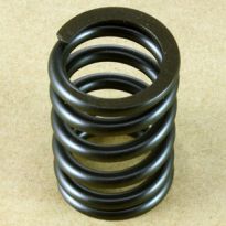 Valve Spring - 200Tdi & 300Tdi | Defender, Discovery, Range Rover Classic