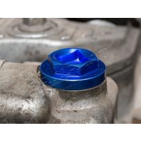 Filler Plug Alloy Blue Inc O R