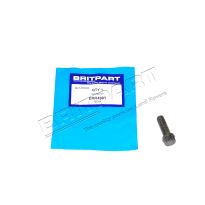 M8 Hex-Headed Bolt - 4.0L V8, 4.6L V8 | Range Rover P38