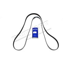 Polyvee Alternator Belt - V8, ACE, no aircon | Discovery 2 1998-2004