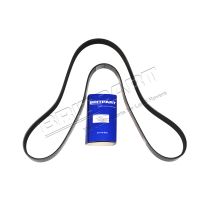 Polyvee Alternator Drive Belt - V8 Petrol EFI | Discovery 2 1998-2004