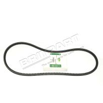 Fan Belt