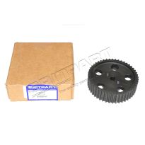Sprocket - Injector Pump 2.5Ddt