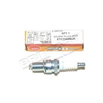 Spark Plug Ngk