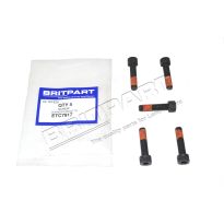 Inlet Manifold Clip Screw - 2.5L 4 Cyl Turbo Diesel | Defender 1987-2006