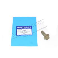 Screw-Flanged Head