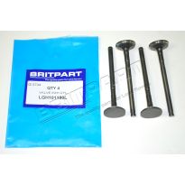 Cylinder Head Exhaust Valve - 1.8K Series Petrol | Freelander (1996-2006)