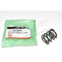Valve Spring - Cylinder Head - 2.0L I4 8V TCIE | Freelander 1, 1996-2006
